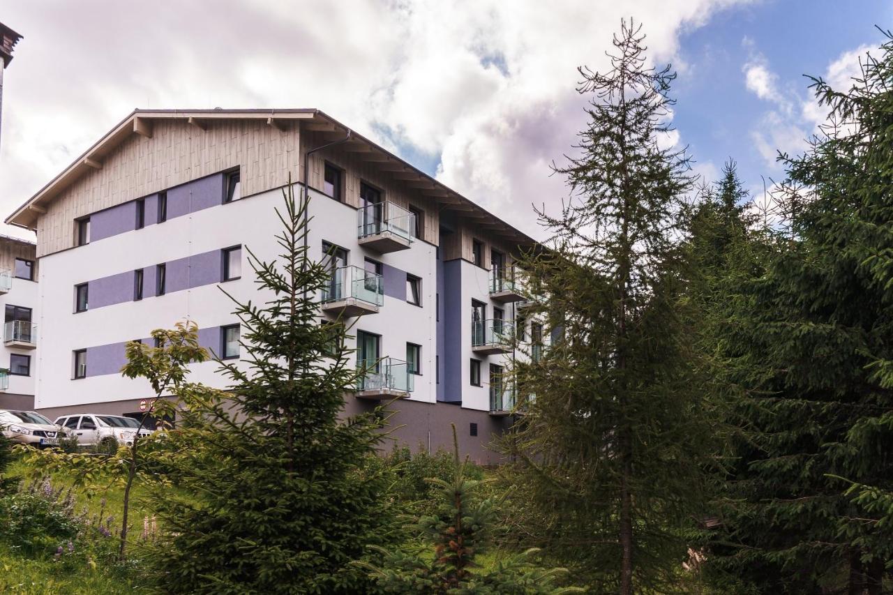 Green Apartment Klinovec By Mountain Ways Loučná pod Klínovcem Zewnętrze zdjęcie