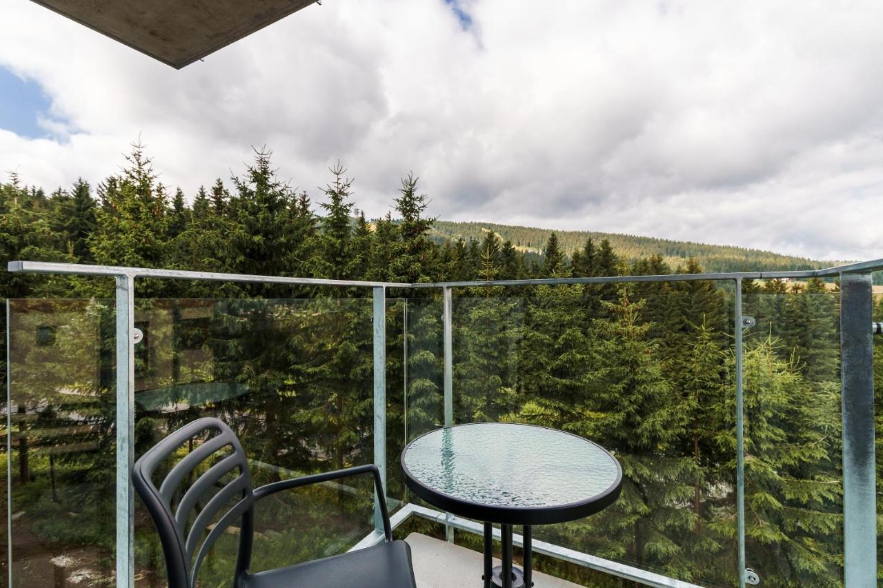 Green Apartment Klinovec By Mountain Ways Loučná pod Klínovcem Zewnętrze zdjęcie